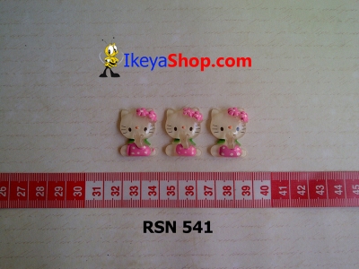 rsn 541  large2